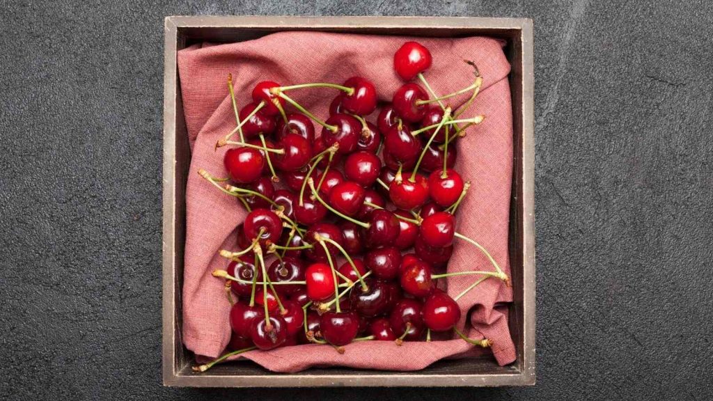 Tart Cherries