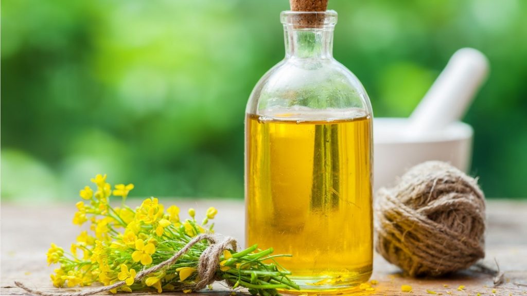what is canola oil Why Canola Oil Banned In Europe