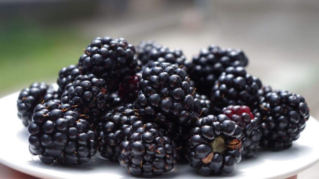 Blackberries in a plate