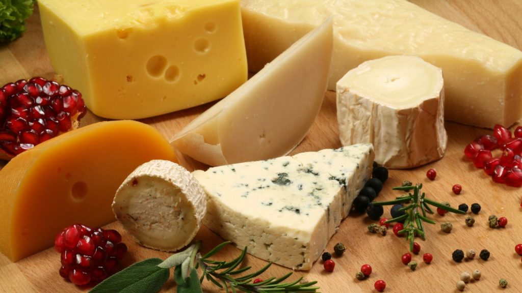 Different types and shapes of cheese